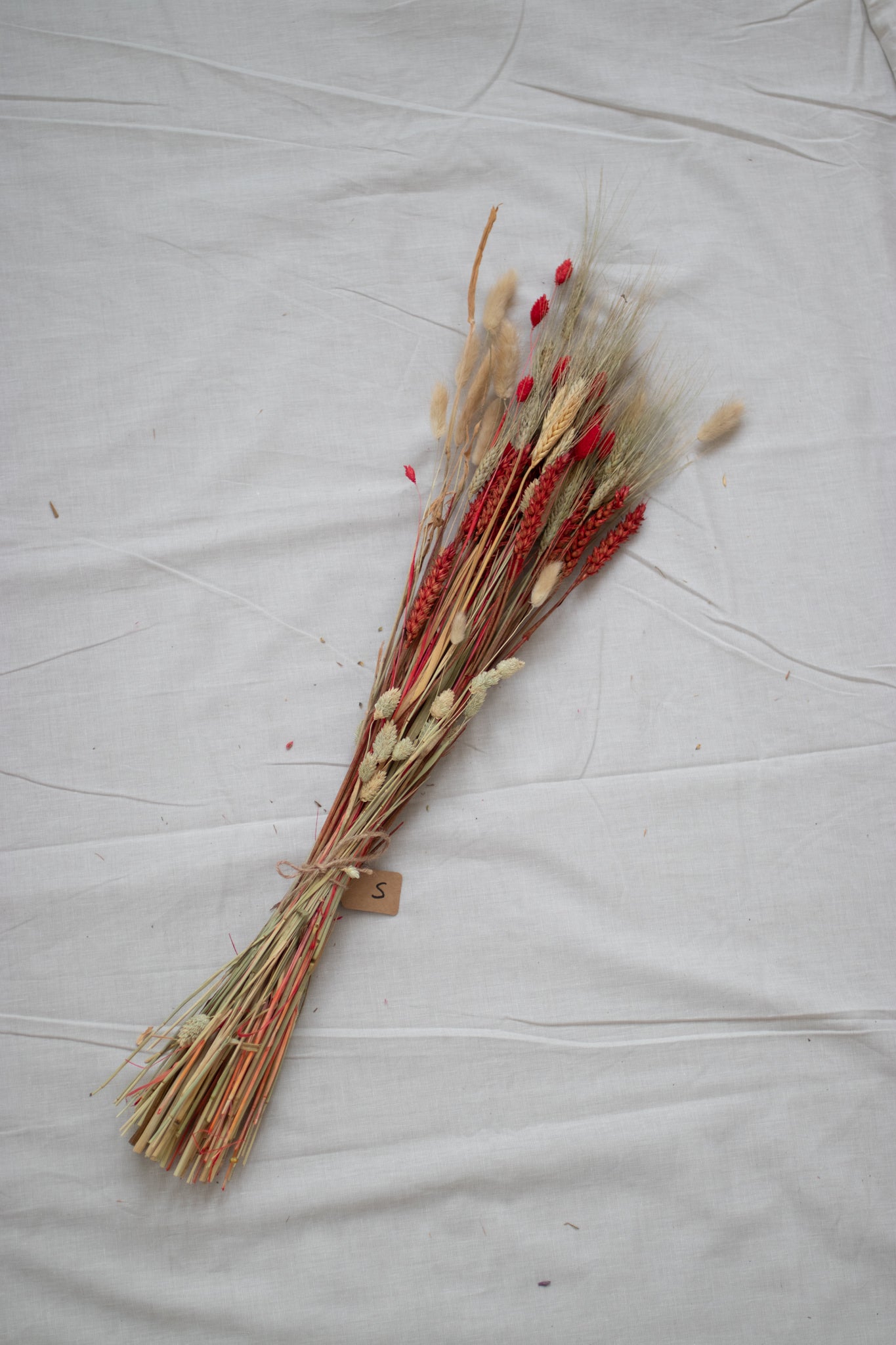 Dried flowers S.