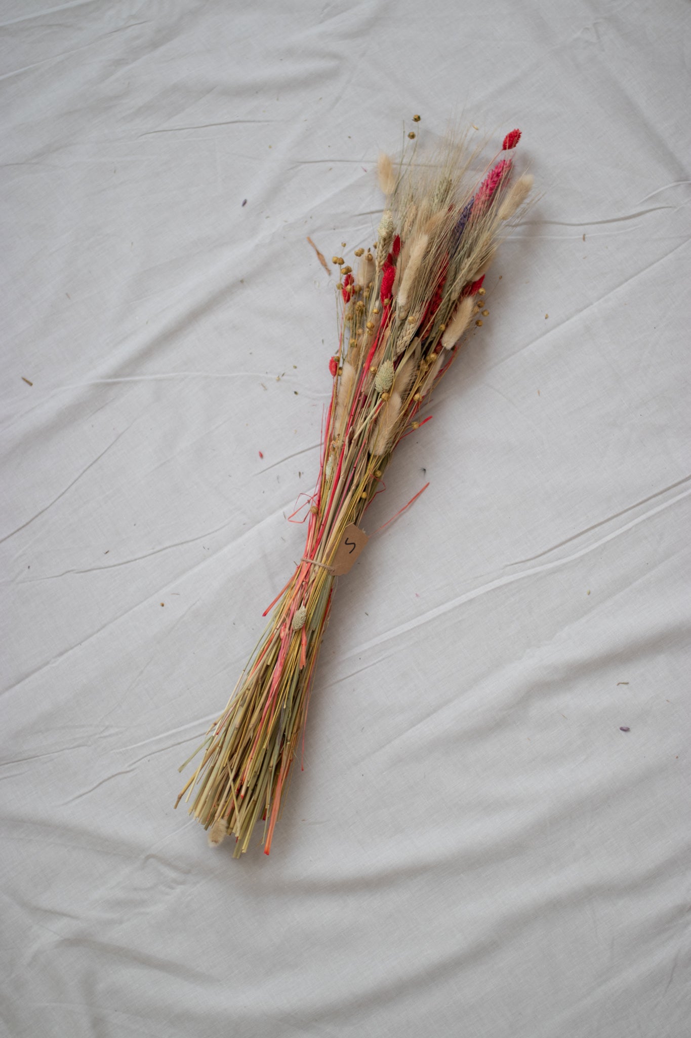 Dried flowers S.