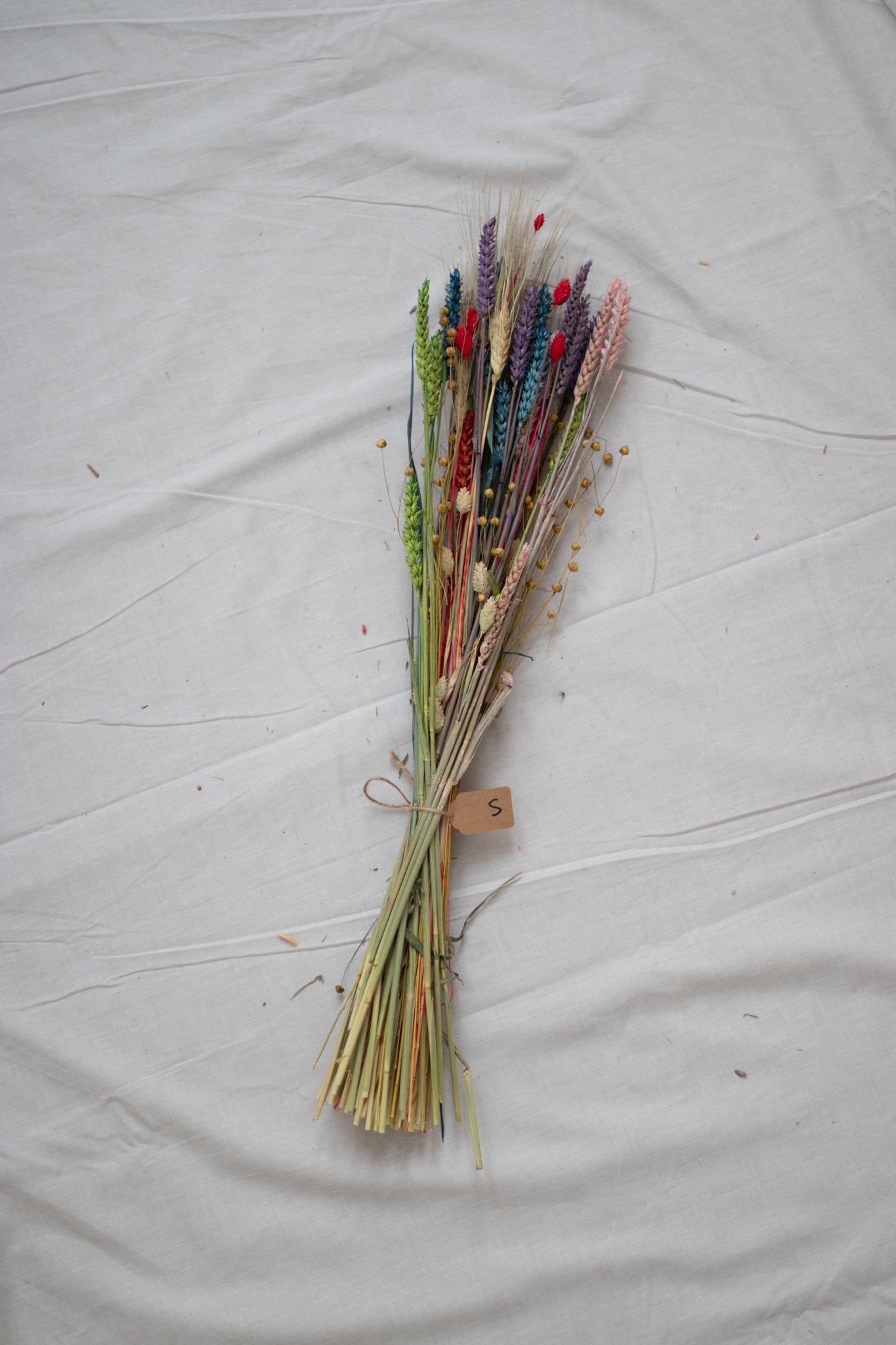 Dried flowers S.