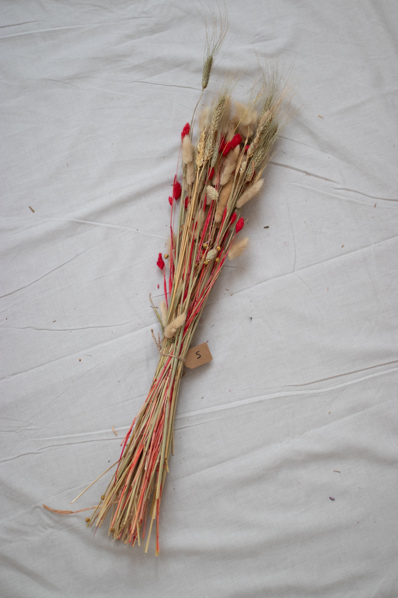 Dried flowers S.