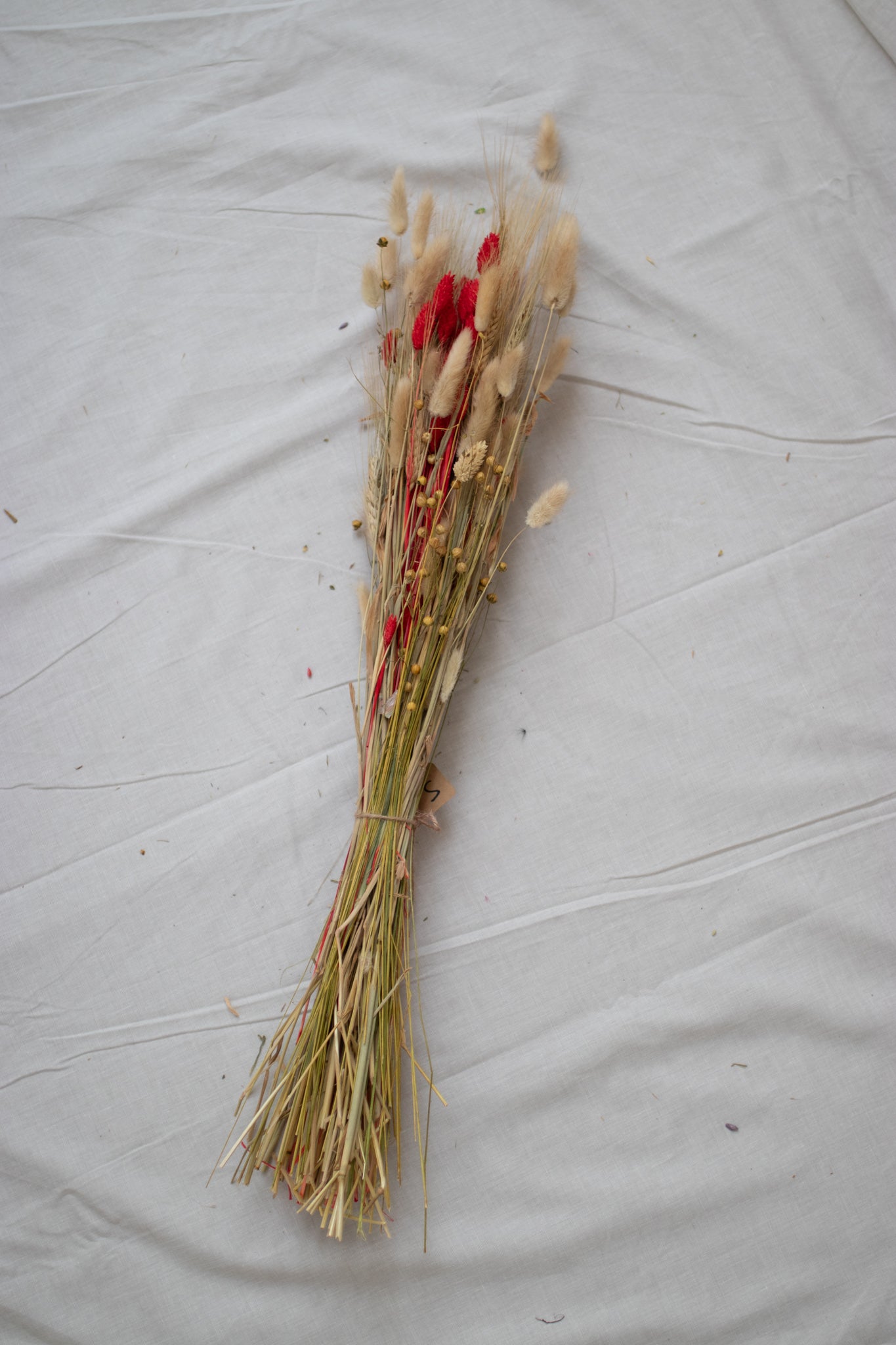 Dried flowers S.