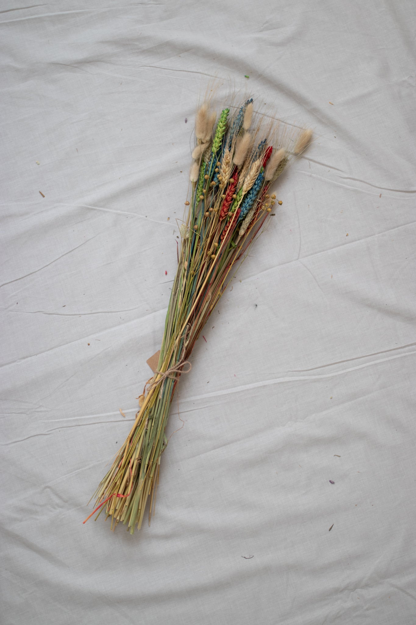 Dried flowers S.