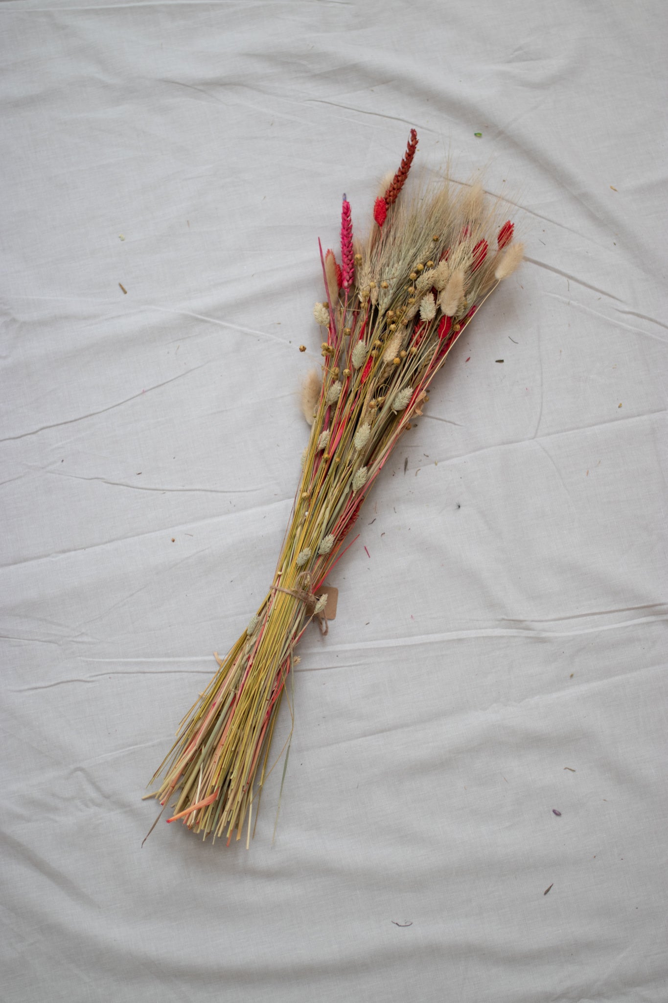 Dried flowers S.