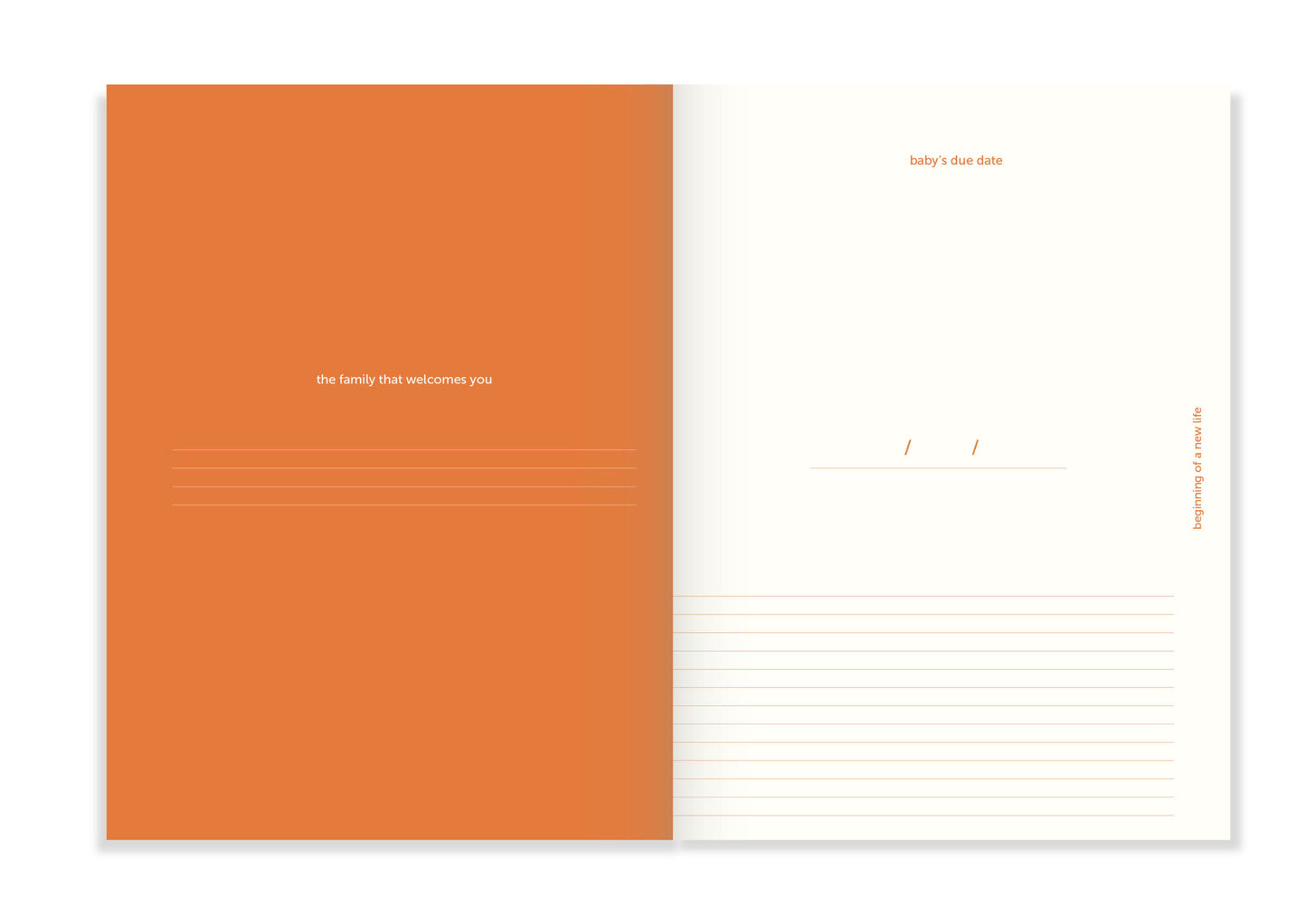 Nine Months Journal