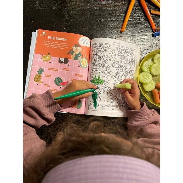 Holiday activity book