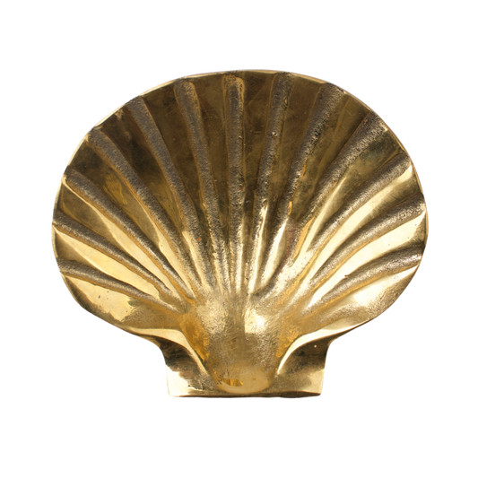 Schaaltje Schelp