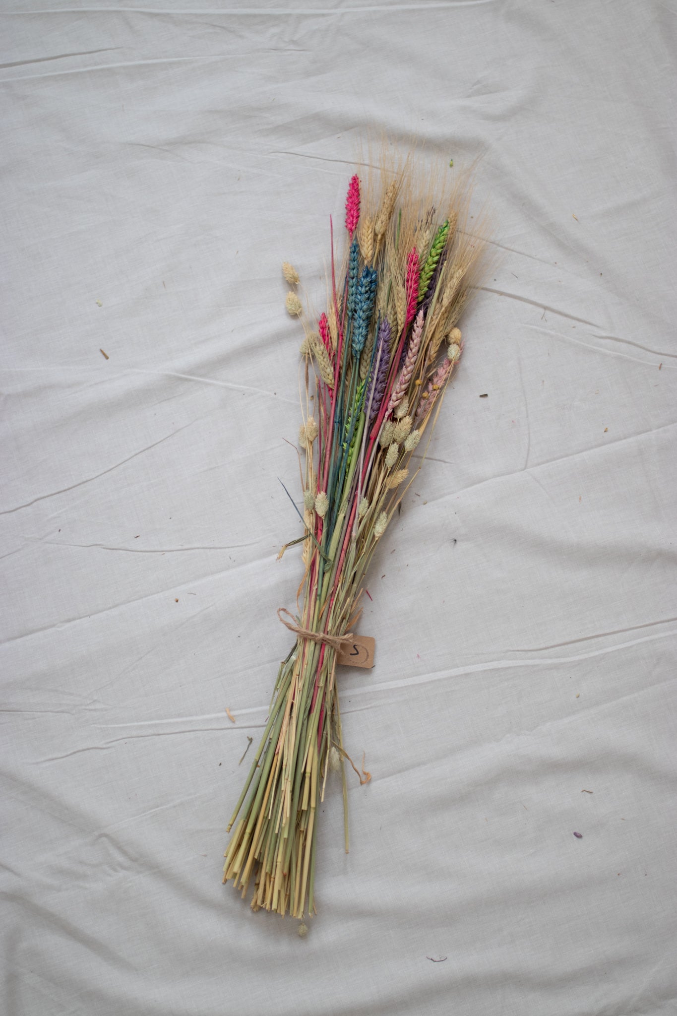 Dried flowers S.